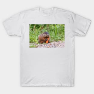 The Beaver and the carrot T-Shirt